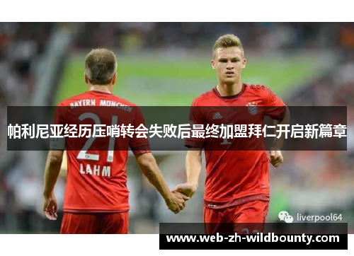 帕利尼亚经历压哨转会失败后最终加盟拜仁开启新篇章