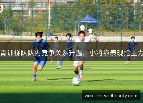 青训梯队队内竞争关系升温，小将靠表现抢主力